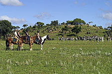 Zambia-Zambia-Shiwa Ngandu Deluxe Horse Safari